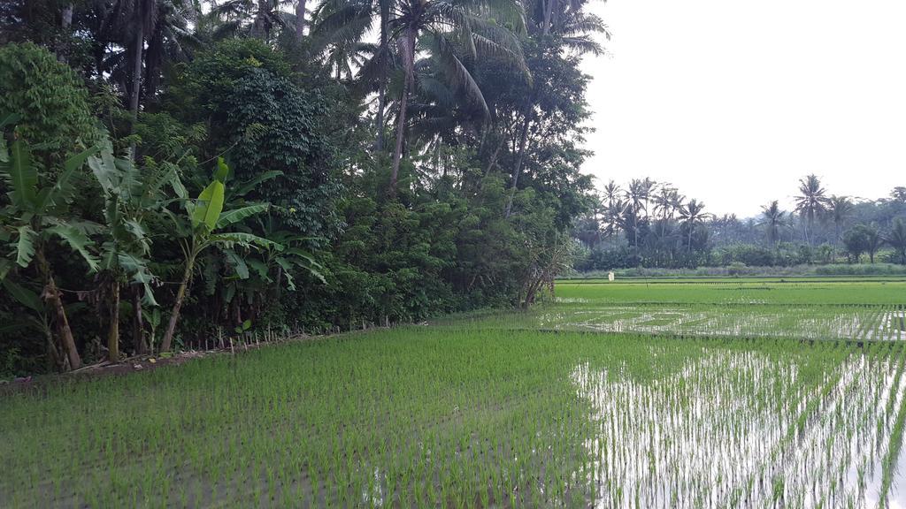 Jolan Jalan Homestay Borobudur Mungkid Exterior foto