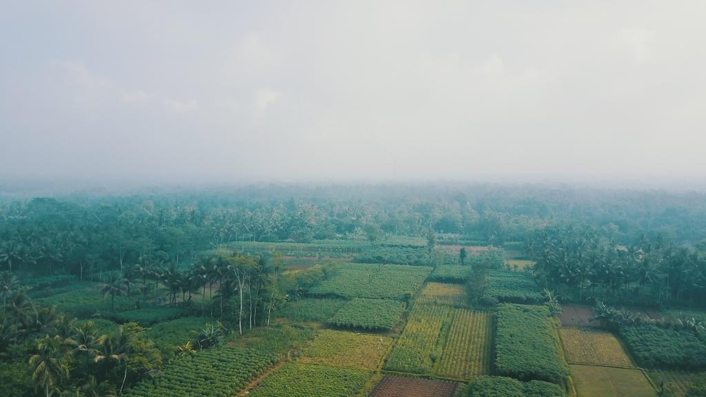 Jolan Jalan Homestay Borobudur Mungkid Exterior foto